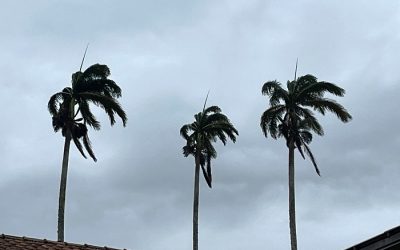 Previsão de rajadas de vento moderado a forte para a região