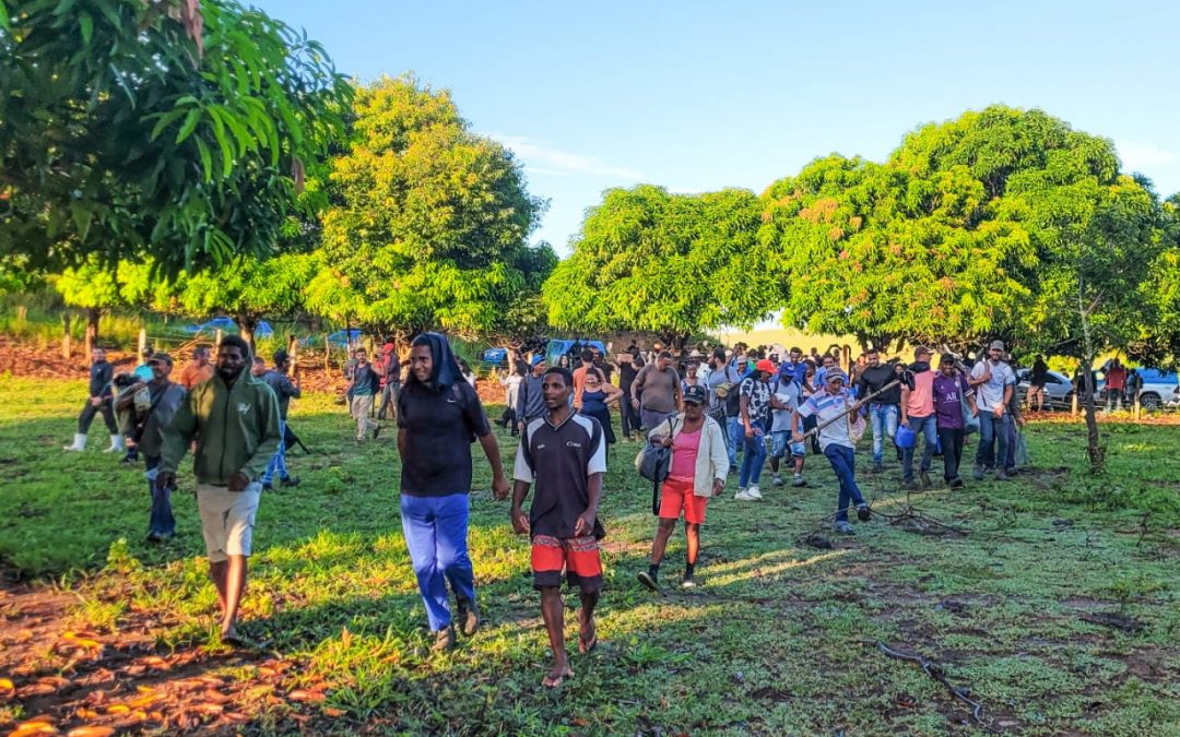 Vídeos – MST ocupa propriedade em Campos dos Goytacazes com cerca de 300 famílias
