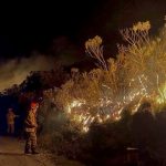 incendio_parque_itatiaia_160624