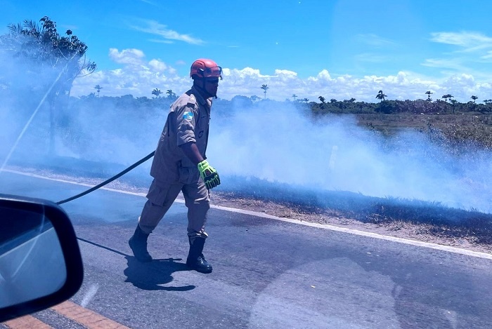 Incêndio em vegetação mobiliza corpo de bombeiros na BR 356 em SJB