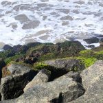 canto das pedras