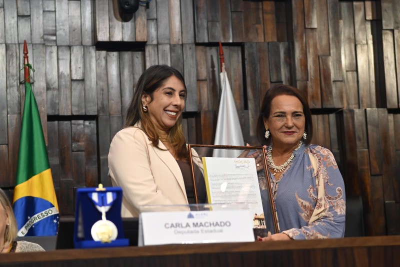 Carla Caputi participa de sessão solene na Alerj em homenagem a Narcisa Amália