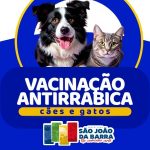 Vacina