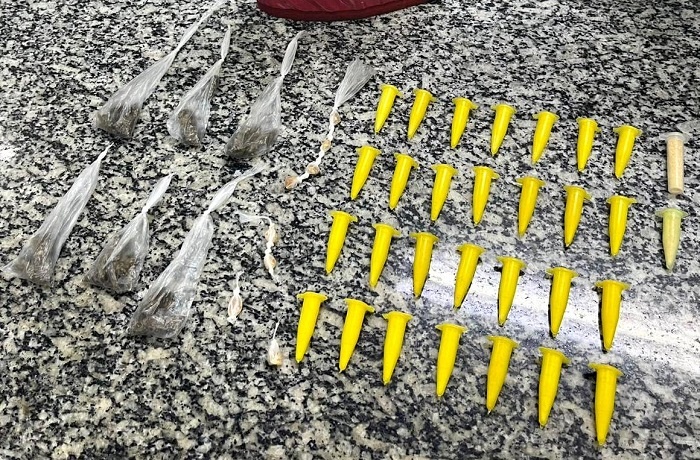 PM apreende maconha, cocaína e pedras de crack em SJB