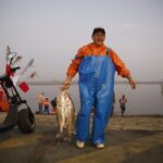 17349_53198971a010ed3d8759dd4d483628cb
