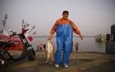 Pesca do Maior Robalo Vivo realizada em SJB
