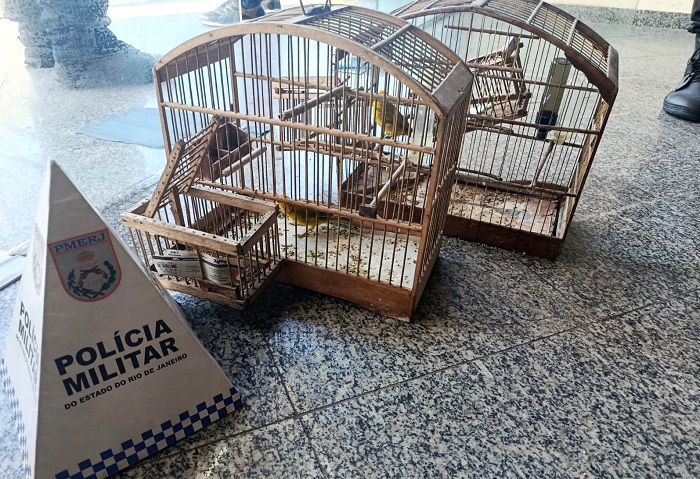 Homem é autuado por manter aves silvestres em gaiolas com alçapões em SJB