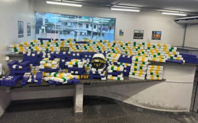 Vídeo – PRF apreende mais de 200 kg de maconha em caminhão na BR-101, em Campos dos Goytacazes