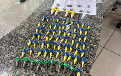 PROEIS apreende drogas durante patrulhamento no Cajueiro, em São João da Barra