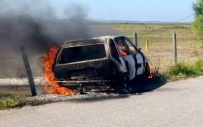 Avô e neta de 5 anos morrem carbonizados após carro bater em poste e pegar fogo na RJ-196