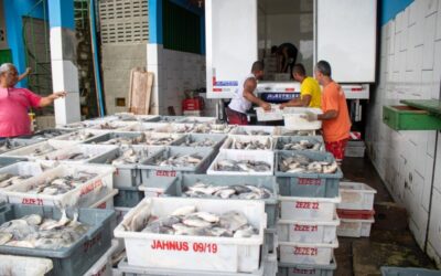 Transporte gratuito de produção beneficia pescadores em SJB