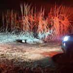 Corpo é encontrado em avançado estado de decomposição em área de canavial em SJB WhatsApp Image 2026-08-11 at 21.13.07