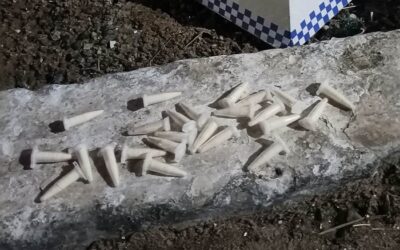 Polícia apreende 24 papelotes de cocaína após denúncia de tráfico em SJB