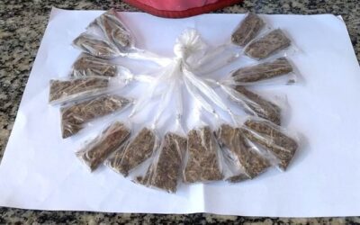 PROEIS encontra 15 buchas de maconha enterradas em terreno em Atafona