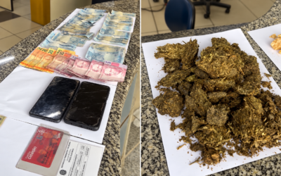 Vídeo – Polícia apreende drogas, dinheiro, celulares e pássaros silvestres em Atafona; homem é preso