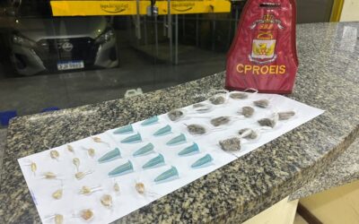 Vídeo – PROEIS apreende drogas enterradas às margens de via pública em São João da Barra
